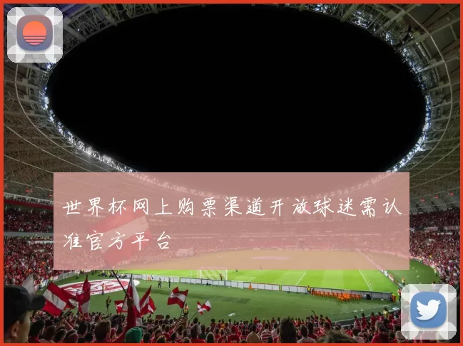 世界杯网上购票渠道开放球迷需认准官方平台