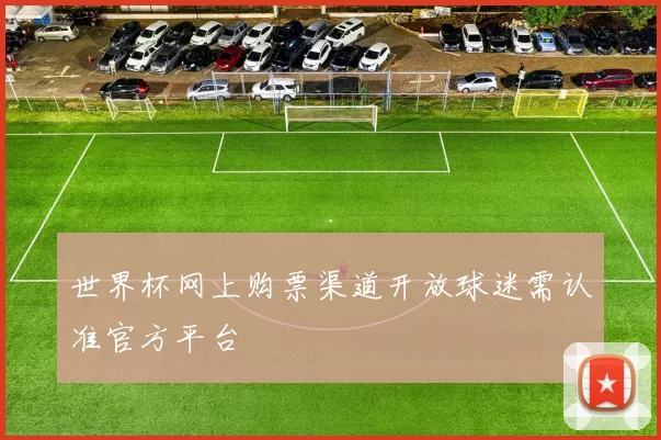 世界杯网上购票渠道开放球迷需认准官方平台