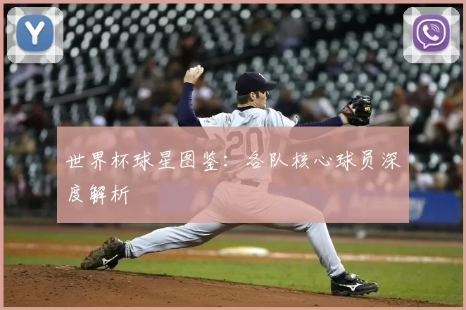 世界杯球星图鉴:各队核心球员深度解析