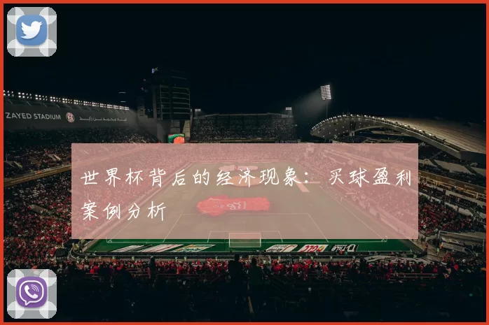 世界杯背后的经济现象：买球盈利案例分析