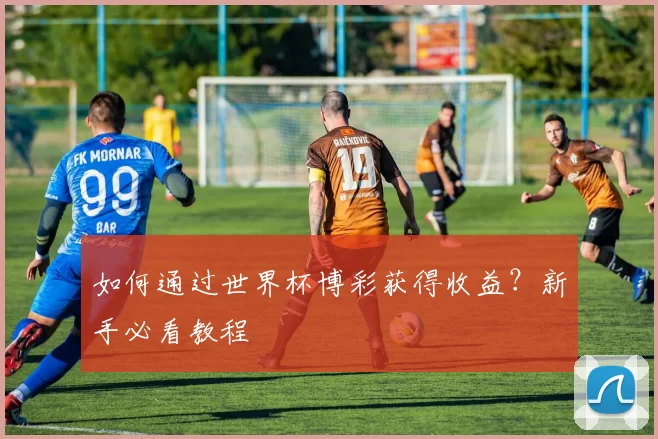 如何通过世界杯博彩获得收益?新手必看教程