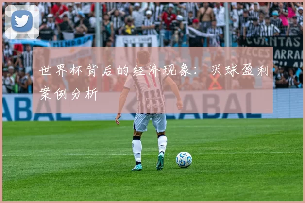 世界杯背后的经济现象：买球盈利案例分析