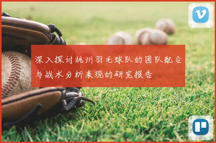 深入探讨杭州羽毛球队的团队配合与战术分析表现的研究报告