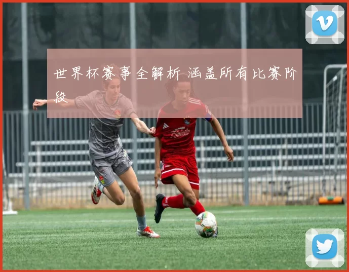 世界杯赛事全解析 涵盖所有比赛阶段