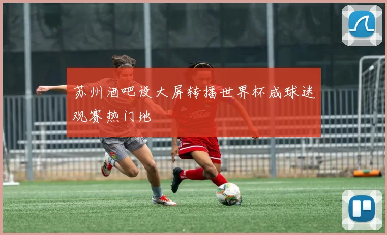 苏州酒吧设大屏转播世界杯成球迷观赛热门地